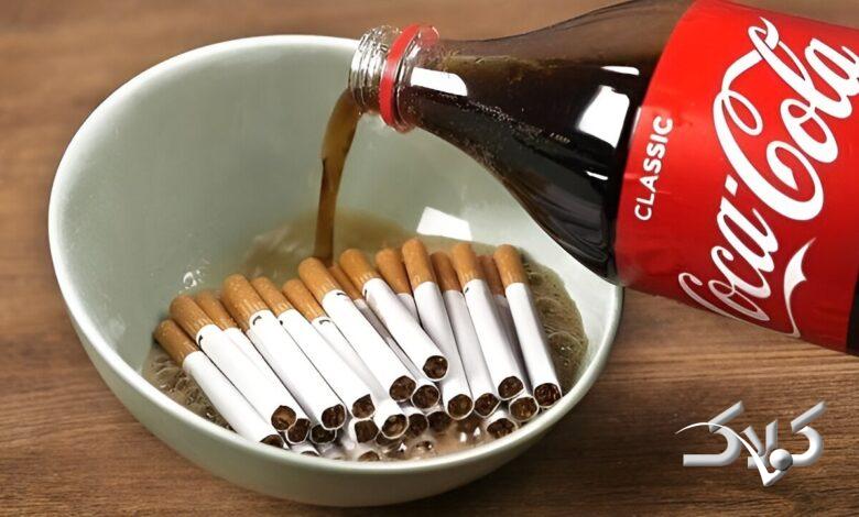 آموزش ساخت محلول دفع حشرات با کوکاکولا و سیگار