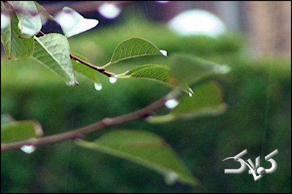 هوای آذربایجان غربی بارانی می شود؛ پیش بینی وقوع سیلاب