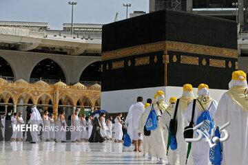 سازمان حج و زیارت اطلاعیه داد