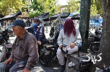 این دردها را پای بالا رفتن سن نگذارید؛ شاید گرما مقصر باشد