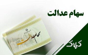 دولت باید اختیار سهام عدالت را به دست مردم دهد/ دیوان محاسبات به پرونده سهام عدالت ورود کند