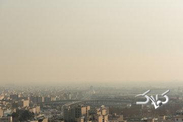 طوفان خاک ۲۲۳ نفر را راهی بیمارستان کرد
