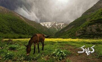 از آبشارهای پنهان تا دشتهای مرتفع؛ در فصل گرما کجا آب و هوا تازه کنیم؟/ معرفی ۶ مقصد بکر و خنک اطراف تهران