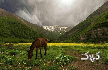 از آبشارهای پنهان تا دشتهای مرتفع؛ در فصل گرما کجا آب و هوا تازه کنیم؟/ معرفی ۶ مقصد بکر و خنک اطراف تهران