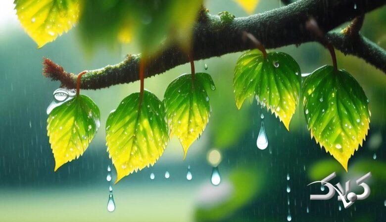 ۷ استان منتظر رگبارهای تابستانی باشند/ وضعیت هوای کشور تا ۵ روز آینده