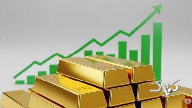 صعود قیمت طلا نشانهای از ارزیابی همزمان دو ریسک !