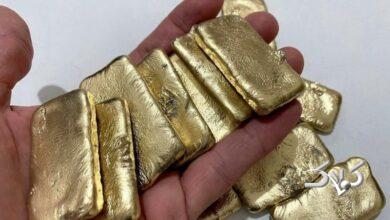 علت عقبنشینی امروز اونس طلا چیست؟ / آیا طلای داخل در مسیر اصلاح قرار میگیرد؟