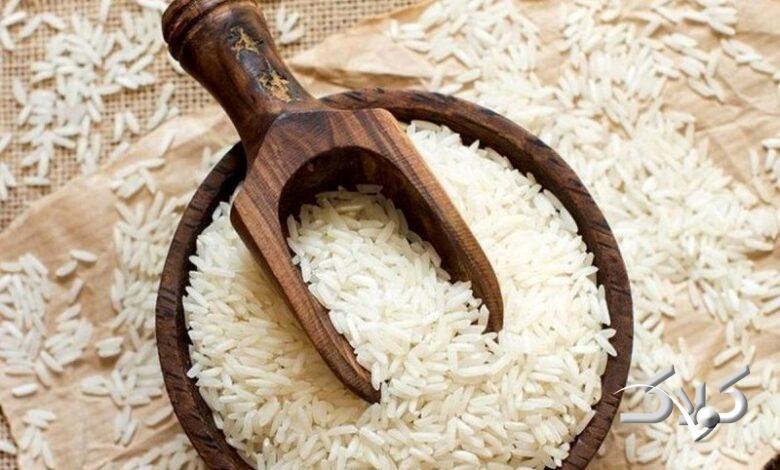 پای برنج آمریکایی چگونه به ایران باز شد؟