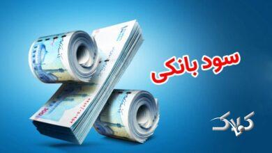 اظهارات رئیس کل بانک مرکزی درباره نرخ سود بانکی