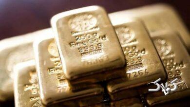 احتمال تغییر قیمت طلا در معاملات امروز؛ماجرا چیست؟