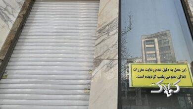 ماجرای پلمپ شدن کافهها در مشهد چیست؟