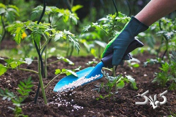 کمبودی در تأمین نهادههای کشاورزی نداریم