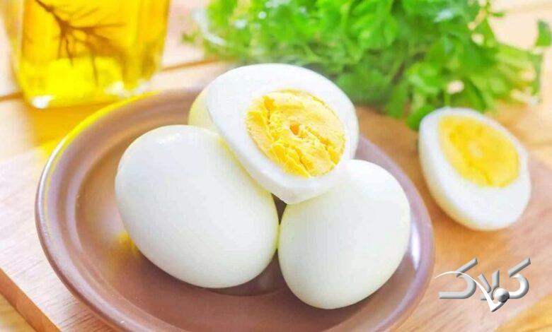 تخم مرغ