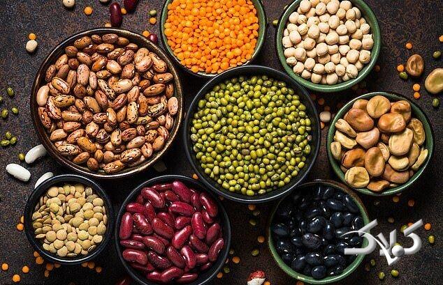 پروتئین گیاهی