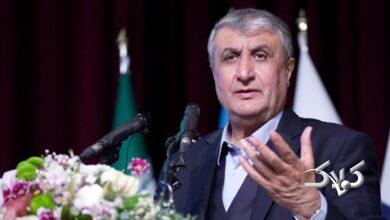 محمد اسلامی، معاون رییس جمهور و رییس سازمان انرژی اتمی