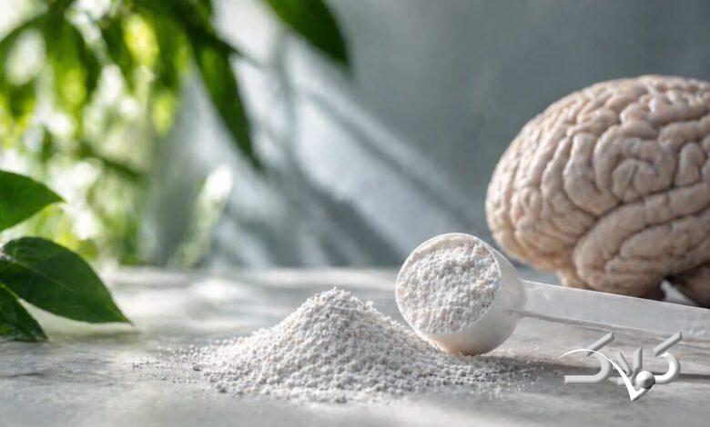 کراتین و مغز