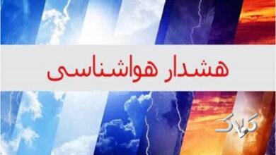 هشدار سطح زرد در استان بوشهر صادر شد