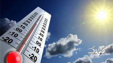 تداوم گرمای بوشهر تا هفته آینده؛ سواحل استان از دوشنبه متلاطم میشود