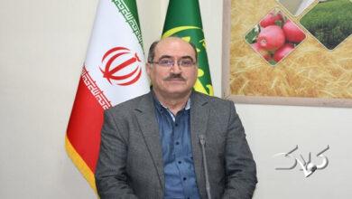 واریز یارانه نقدی کودهای فسفاته به حساب کشاورزان آذربایجان شرقی
