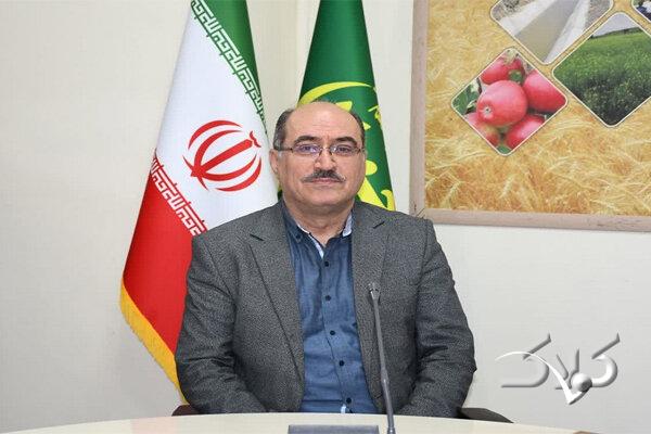 واریز یارانه نقدی کودهای فسفاته به حساب کشاورزان آذربایجان شرقی