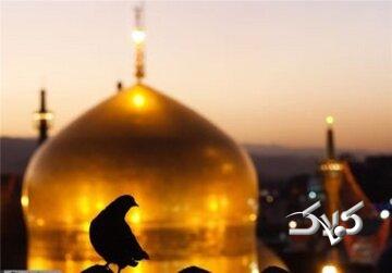فتوتیتر | اگر مردم زیباییِ سخن اهلبیت(ع) را بشناسند...