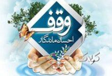 وقف؛ سرمایه‌ای ماندگار برای تولید، اشتغال و تحقق عدالت اقتصادی
