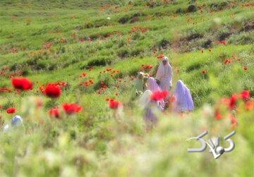 الگوی دینیِ حضور زن در جامعه؛ نه انزوا، نه بیمرزی