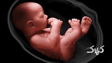 آیا جنین سقط شده، غسل و کفن دارد؟