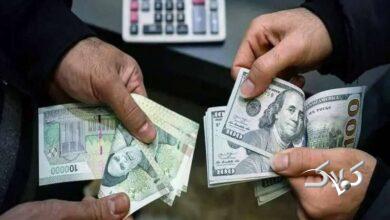 گرانیها در ایران زیر سر دلار یا ریال