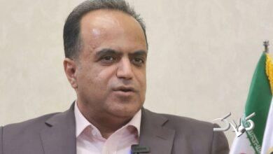 بذرافشان: اوراق سکه تأثیر چندانی بر کاهش قیمتها ندارد/ توصیه به خرید فیزیکی طلا و سکه