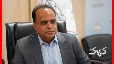 طلای خود را به طلافروشی نسپارید؛ هشدار رئیس اتحادیه درباره سودهای وعدهدادهشده