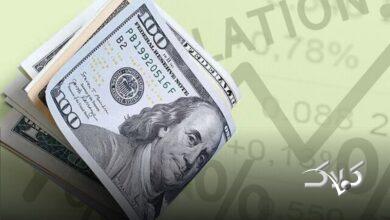 آغاز به کار اولین صندوق سرمایهگذاری ارزی/ صندوق ارزی دقیقاً چگونه کار میکند؟