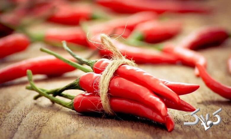 Chili red pepper - فلفل قرمز - چیلی