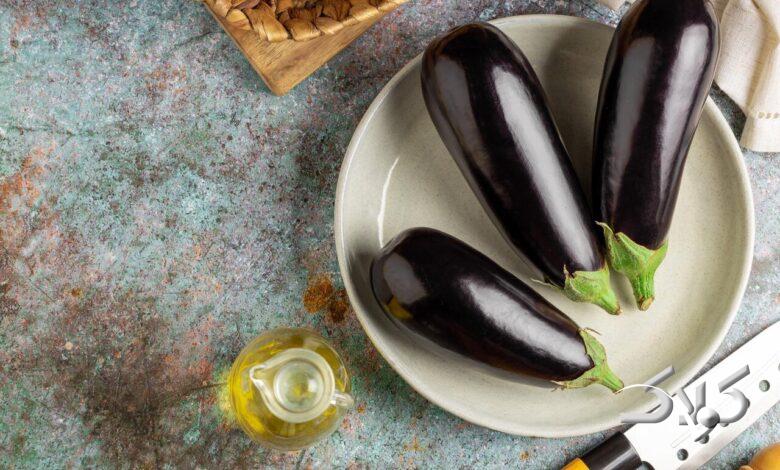 غذا با بادمجان - غذای اصیل استان فارس