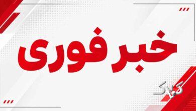 خبر فوری
