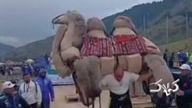 شتر