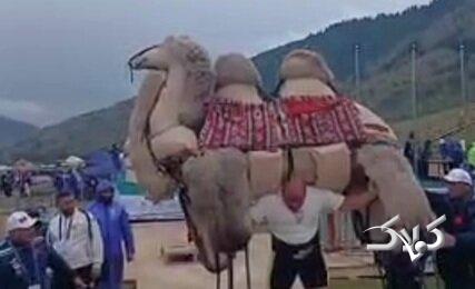 شتر