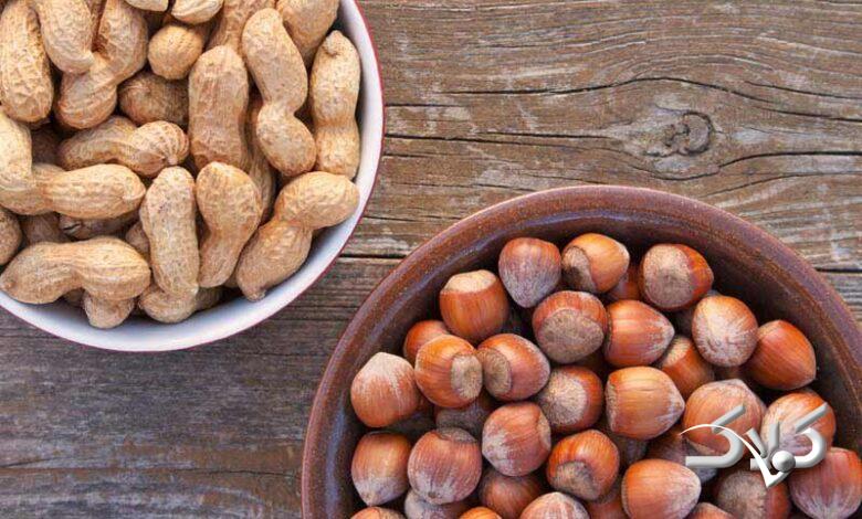 فندق و بادام زمینی