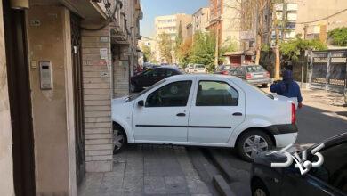 پارک خودرو جلوی در - پارک ممنوع - پارک خودرو جلوی پل