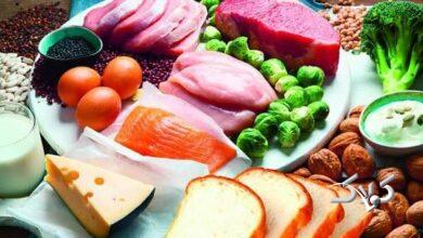 protein