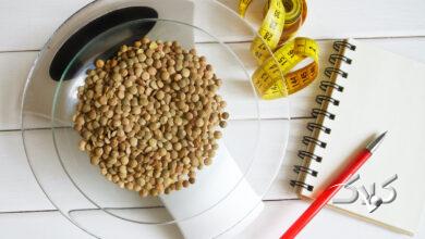رابطه پروتئین و اشتها
