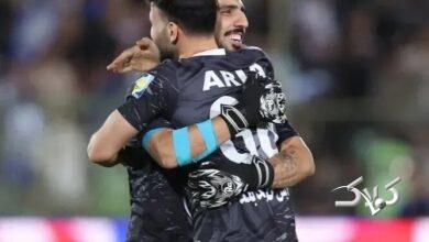 آریا حسینیفرد