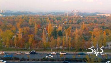 پاییز