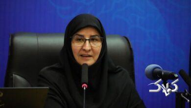 همافزایی دانشگاه و مدرسه، مسیر ارتقای کیفیت آموزش ابتدایی است