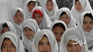 اتباع در مدارس ابتدایی تهران تفاوتی با سایر دانشآموزان ندارند