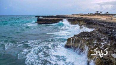سرعت وزش باد و تلاطم دریا در سواحل بوشهر افزایش مییابد