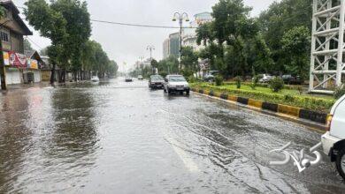 بارندگی - نوشهر