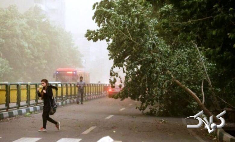 وزش بادشدید در تهران